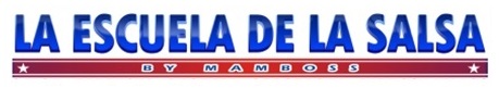 Clases de Salsa Logo Mini